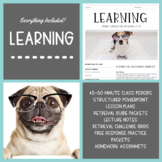 Learning Unit Bundle (45-50 Minute Class Periods)