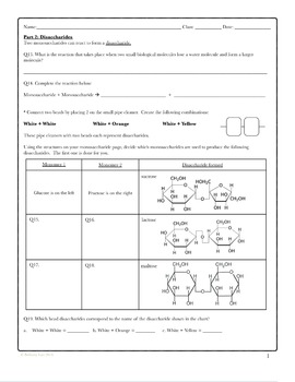 Chemistry Of Carbohydrates Worksheet Answers - Worksheet List