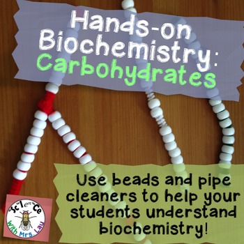 Preview of Hands-on Biochemistry: Carbohydrate Structure with Beads