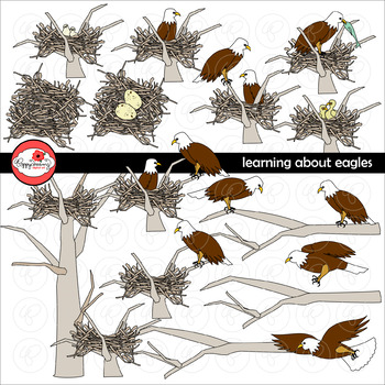 Preview of Learning about Eagles Clipart by Poppydreamz