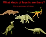 Learning about Paleontologists and Fossils