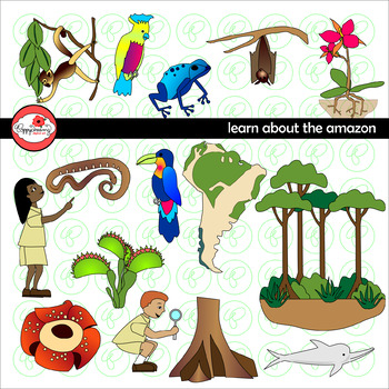 Preview of Learning about The Amazon Rainforest Clipart by Poppydreamz
