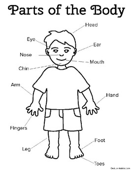 Learning the Parts of the Body by eduprintables | TPT