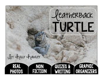 Preview of Leatherback Turtle: A Research Project