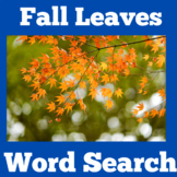 Fall Autumn Leaves Worksheet Kindergarten 1st 2nd 3rd 4th 
