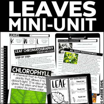 Preview of Leaves Worksheets and Activities - Fall Science Lesson with Print & Digital