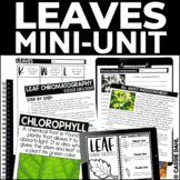 Leaves Worksheets and Activities - Fall Science Lesson wit