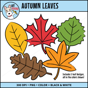 autumn leaves falling drawing