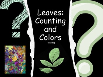 Preview of Leaves: Count and Color (6 through 10) and activities (secular)