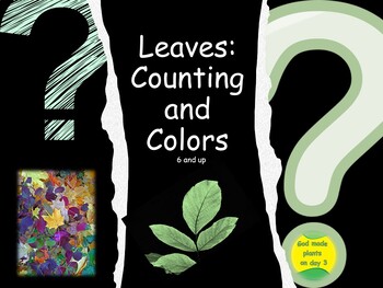 Preview of Leaves: Counting and Colors (6-10) Bible-based .PDF book