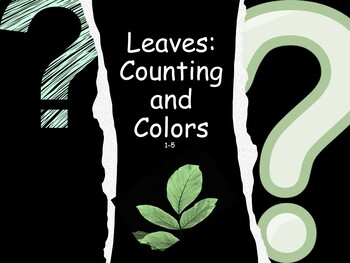 Preview of Leaves: Counting and Colors K-1 (secular version)