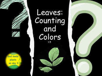 Preview of Leaves: Counting and Colors for K-1 (Bible version)