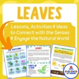 Leaves Nature Study