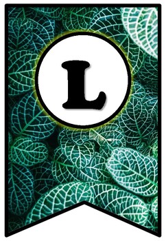 Preview of Leaves, Pennant Banner Bulletin Board Letters, Fall, Spring, Plants Class Decor