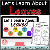 Leaves Science Unit with Digital Slideshow and Printable A