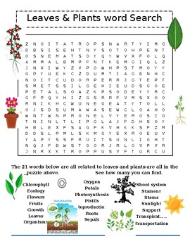 Preview of Leaves and Plants Word Search Puzzle