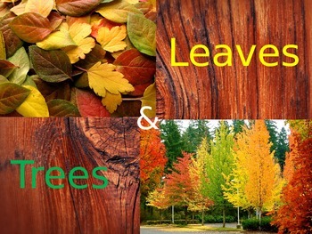 Preview of Leaves and Trees