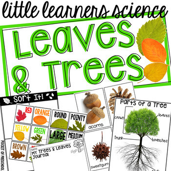 Preview of Leaves and Trees - Science for Little Learners (preschool, pre-k, & kinder)