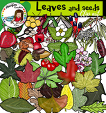 Leaves and seeds clip art