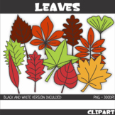 Leaves with and without veins Clip Art