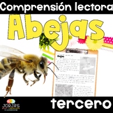 Lectura de comprensión en español 3er grado Abejas Compara