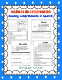 Lecturas de comprensión - Reading Comprehension in Spanish