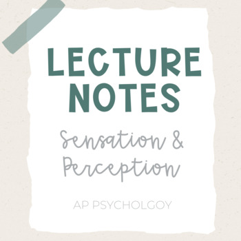 Preview of Lecture Notes | Sensation & Perception *New Teacher Favorite