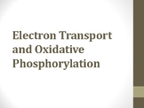 Lecture on Electron Transport Chain and Oxidative Phosphorylation