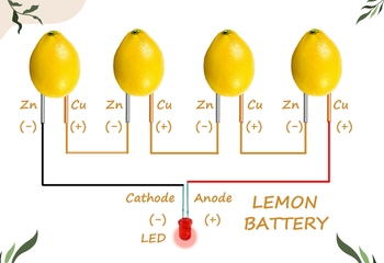 Preview of Lemon Battery