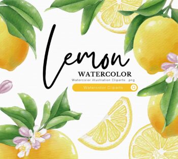 Lemon watercolor clipart by Tinaxarts | Teachers Pay Teachers