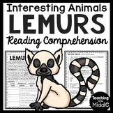 Lemurs Informational Text Reading Comprehension Worksheet 