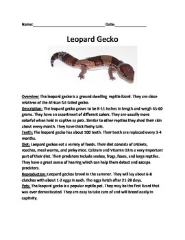 Leopard Gecko - Review Article Lesson Facts Information Questions Vocab