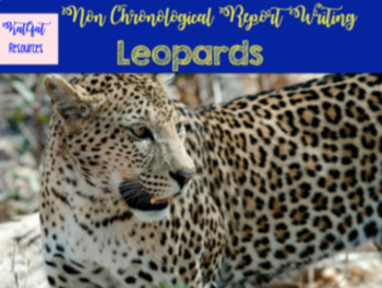 Preview of Leopards - Non Fiction Unit - Non- chronological Report Writing