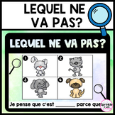 Lequel ne va pas?  | French l'intrus