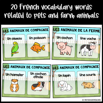Les Animaux de Compagnie et de la Ferme | French Animals | Google Slides™