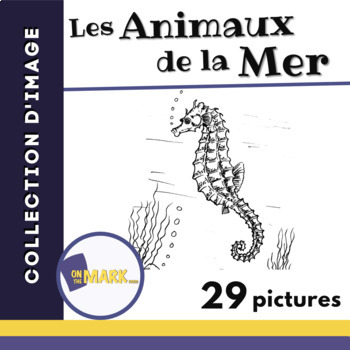 Preview of Les Animaux de la Mer Collection d'image 1e à 8e année