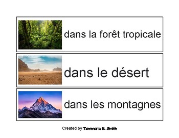 Preview of Les Lieux / Places / Locations in French (sentence builders)