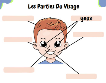 Preview of Les Parties Du Visage