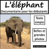 Les animaux: L'éléphant