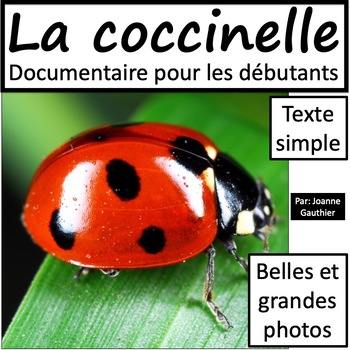 Preview of Les animaux: La coccinelle