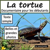 Les animaux: La tortue