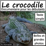 Les animaux: Le crocodile
