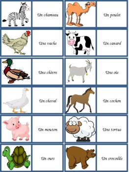 Les animaux / Pets and animals by World of Languages | TPT