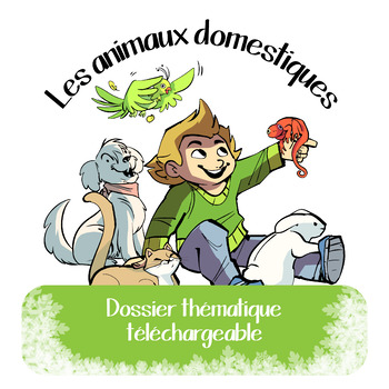 Preview of Les animaux domestiques / Dossier thématique complet