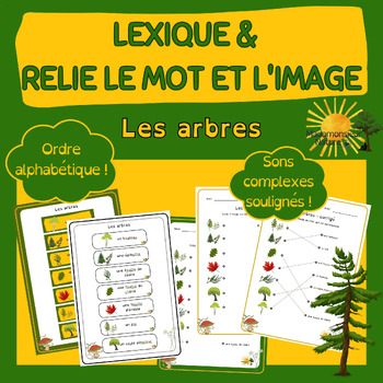 Preview of Les arbres - Lexique et Relie l'image au mot - *French/en français*