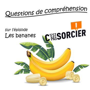 Preview of Les bananes - Compréhension