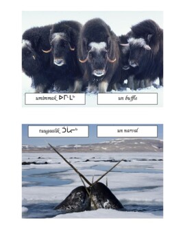 Preview of Cartes avec les mots pour Iqaluit
