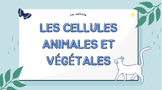 Les cellules animales et végétales