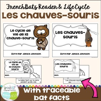 Preview of Les chauves-souris French Bat Life Cycle Reader & Activities - Cycle de vie