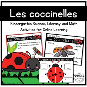Preview of Les coccinelles -  Digital Science, Math & Literacy Activities 